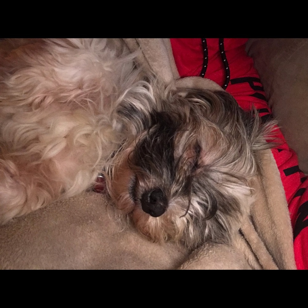 Meet your Posher, Amber